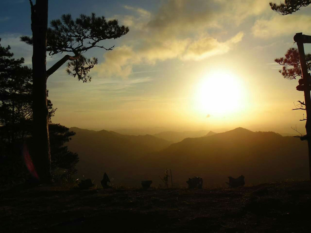 Leon旅游景点-Bucari Pine Forest