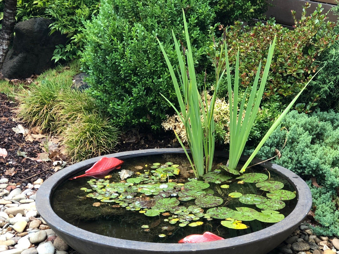 ​Balance Mountain Day Spa-奥林达必去景点