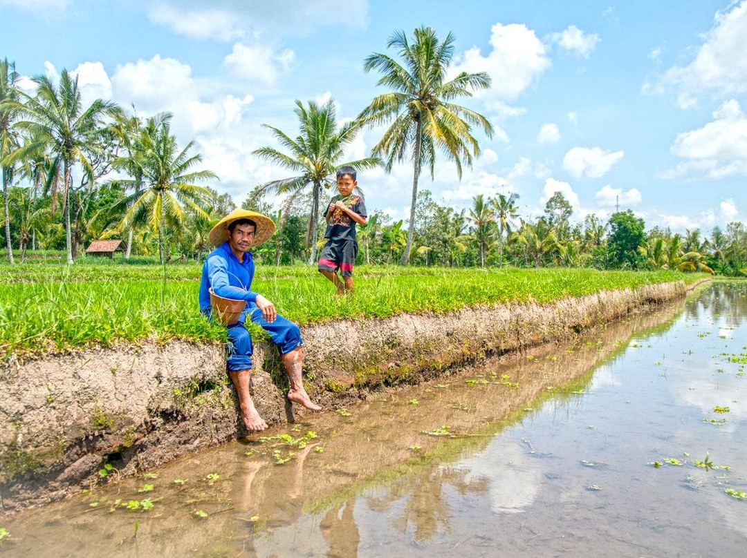 Osing Vacation-巴纽旺宣必去景点