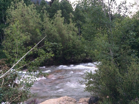 The Grant Motel主图