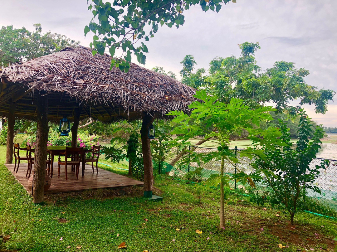 陶乐度假酒店主图