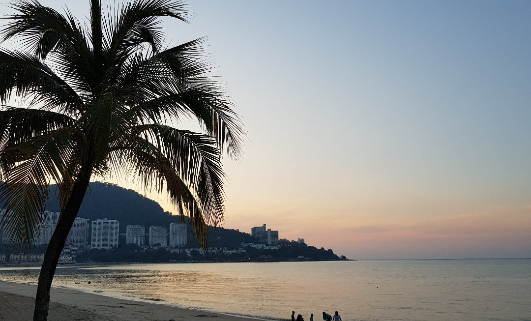 Paradise Apartment By The Sea主图