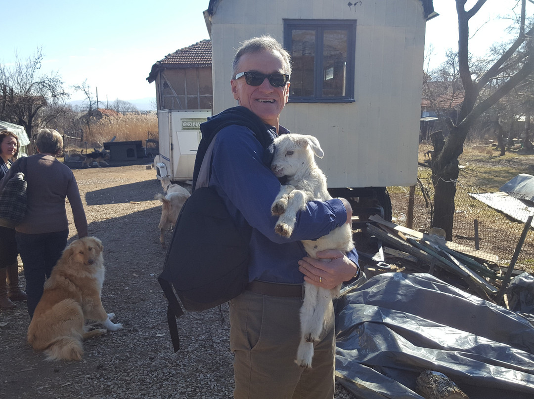 Cottage Farm-Alino必去景点