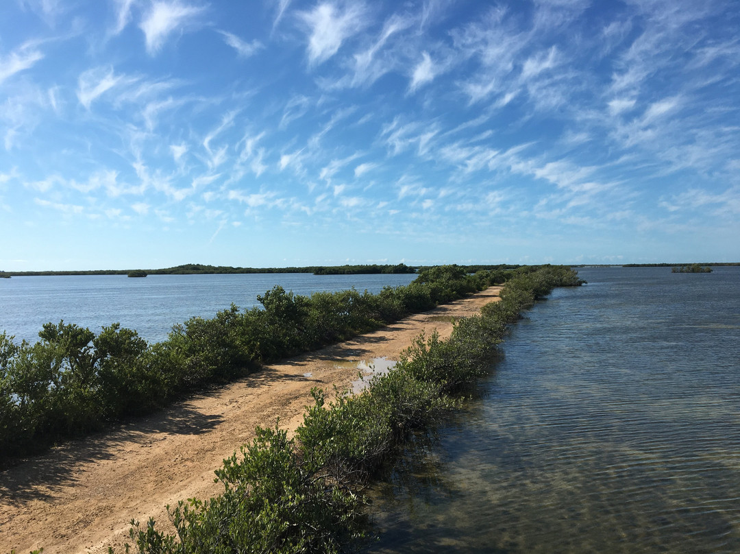 Casa Particular Coralia-Carlos主图