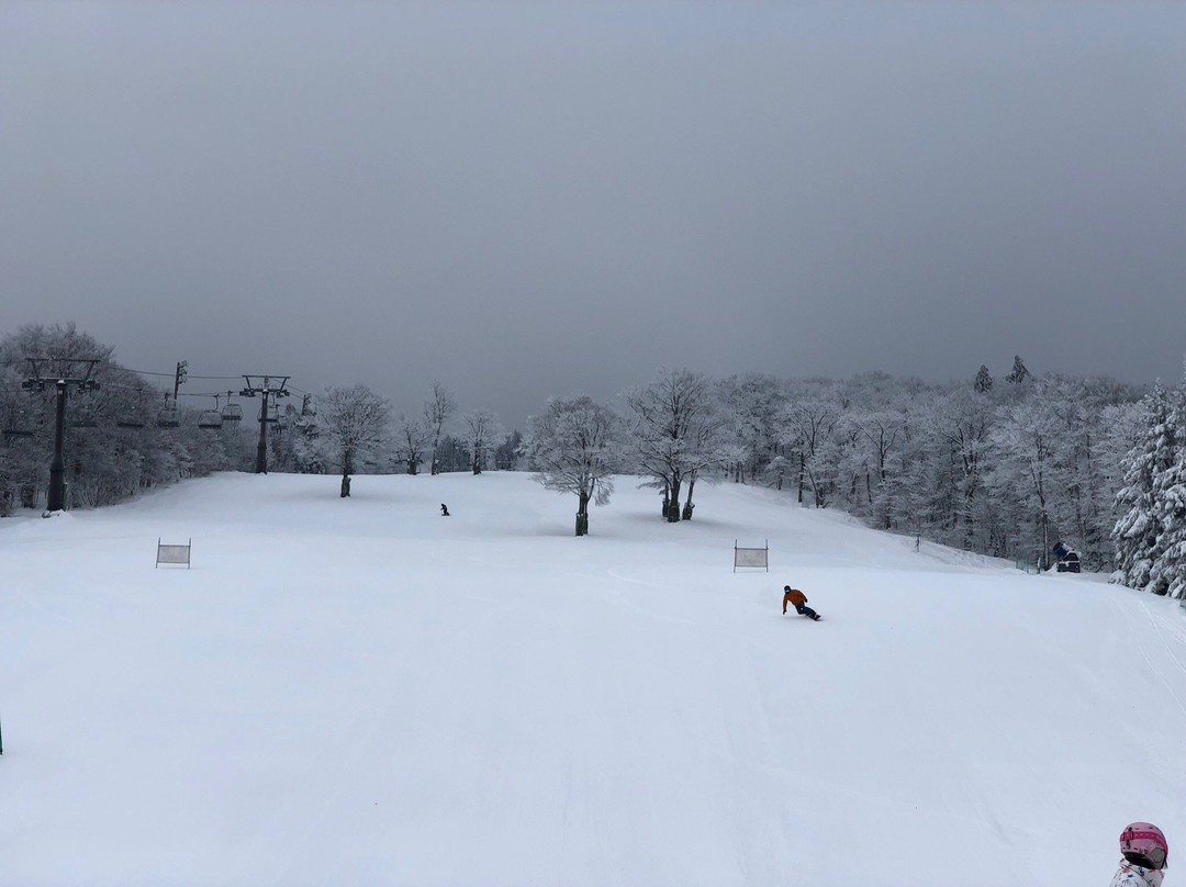 Mizuho Highland-邑南町必去景点