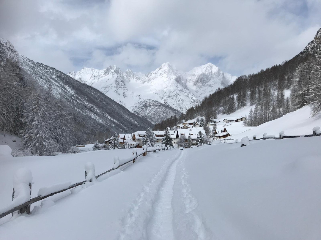 Gasthaus Mayor主图