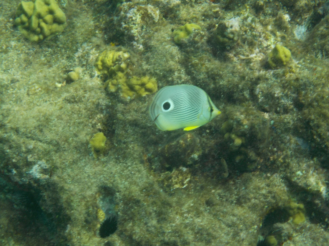 Pillars of Hercules-英吉利海港必去景点