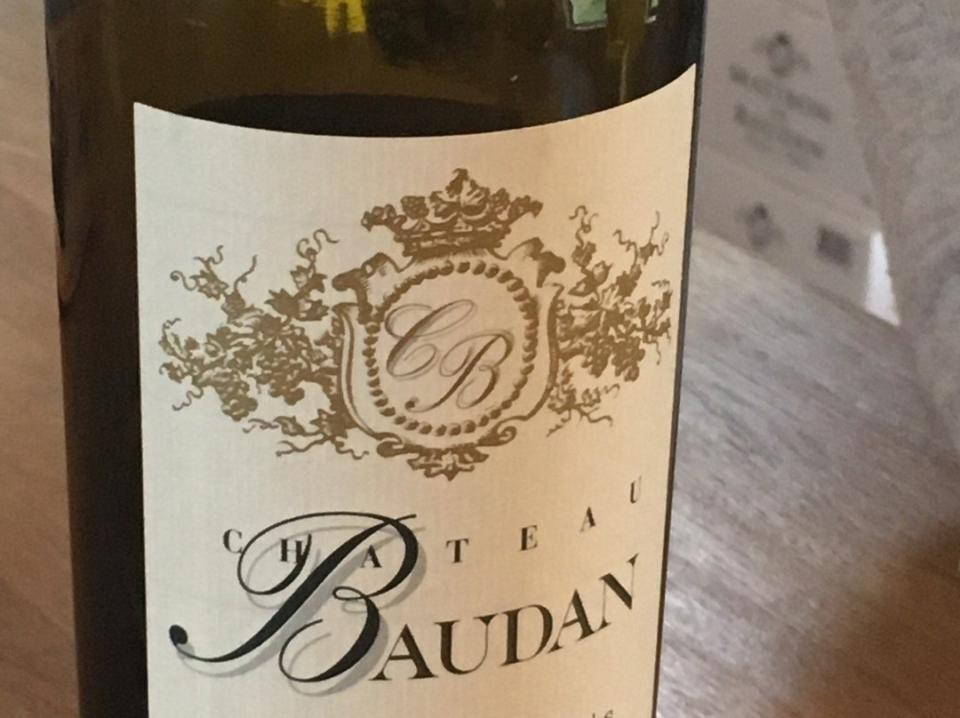 Chateau Baudan景点图片