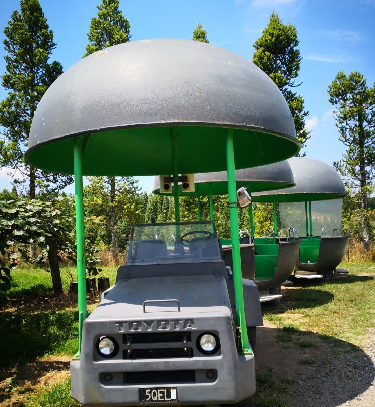 Kiwifruit Country Tours-蒂普基必去景点