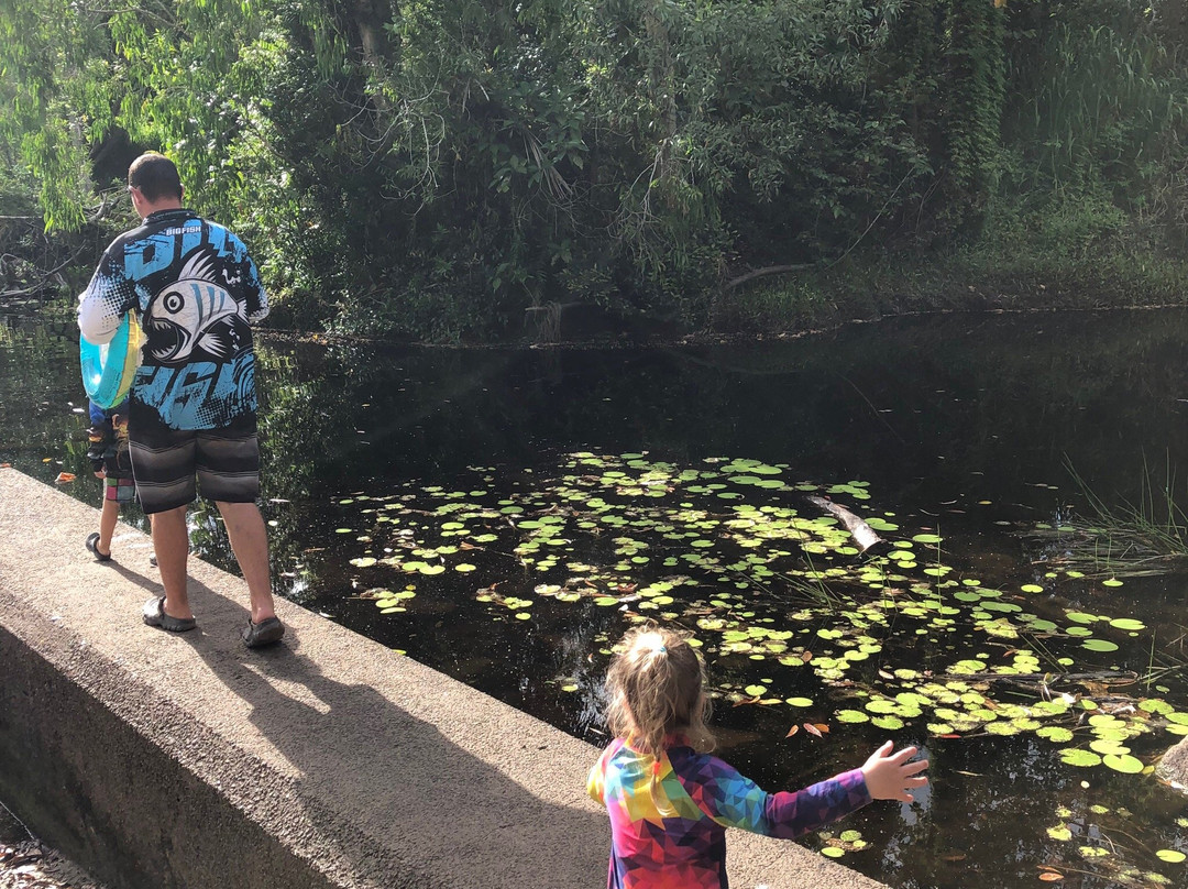 Waterpark Creek-Byfield必去景点