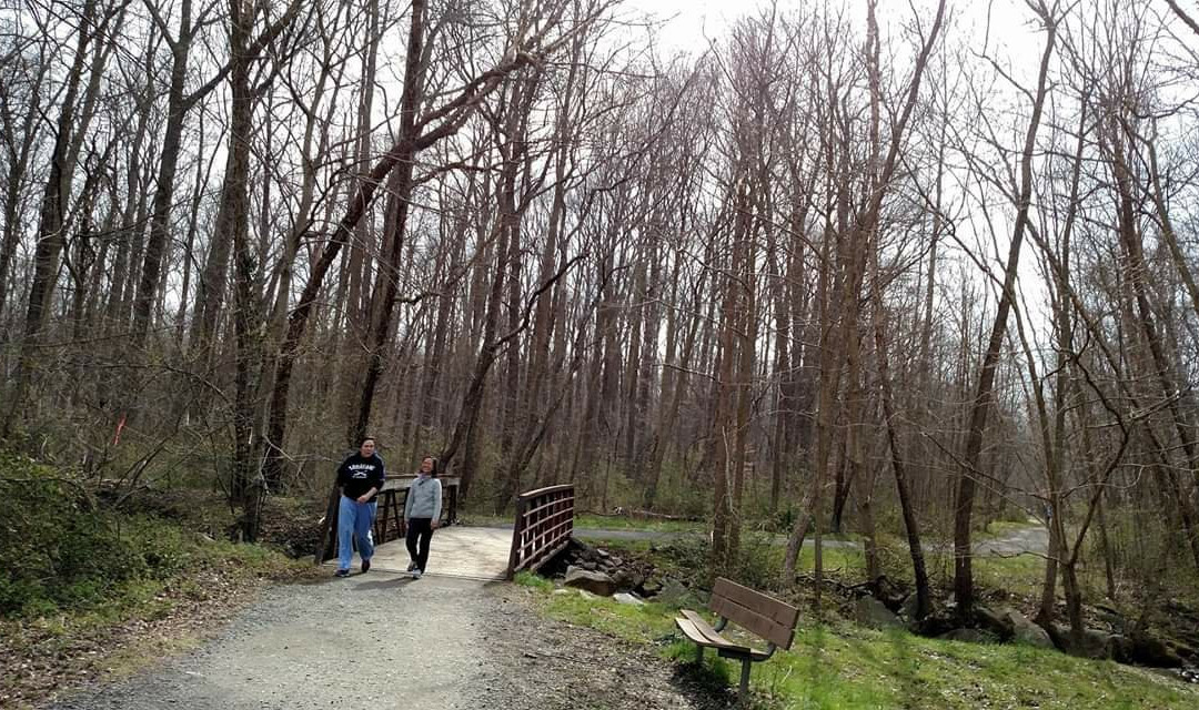 Lake Accotink Trail景点图片