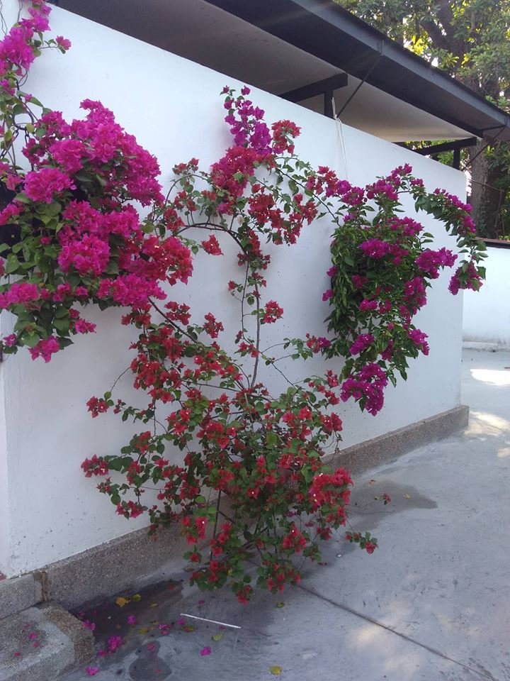 Hotel Melgar Villa Valeria-浴室