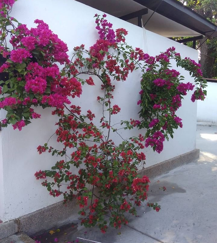 Hotel Melgar Villa Valeria主图