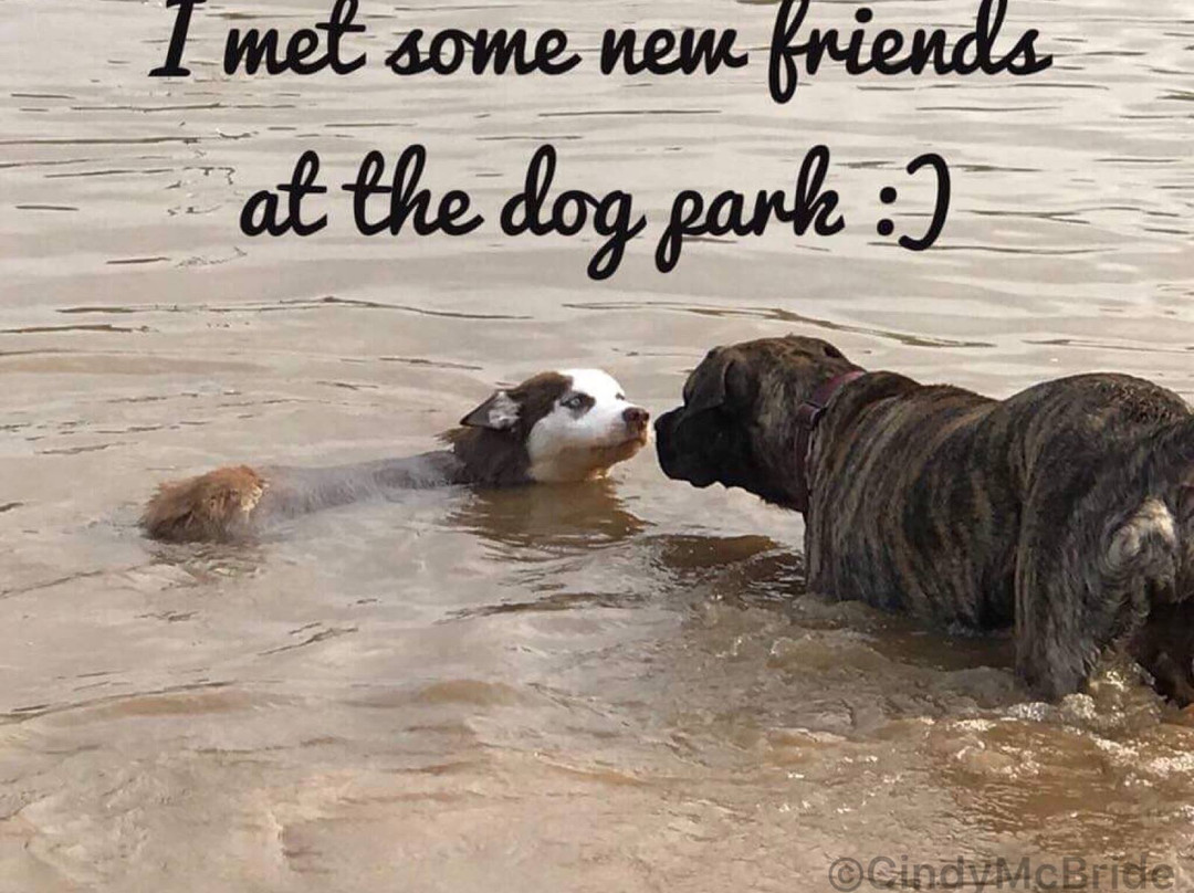 Shreveport Dog Park-什里夫波特必去景点