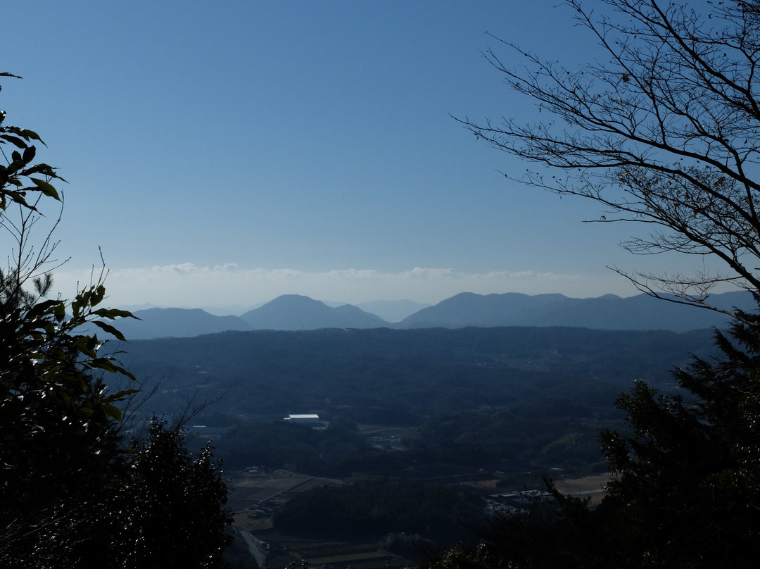Chikurin-ji Temple景点图片