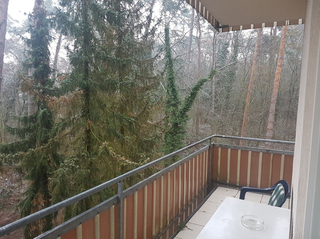 祖姆陶努斯瓦尔德酒店主图