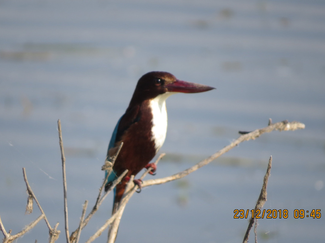 Pariej Lake-Pariyej必去景点