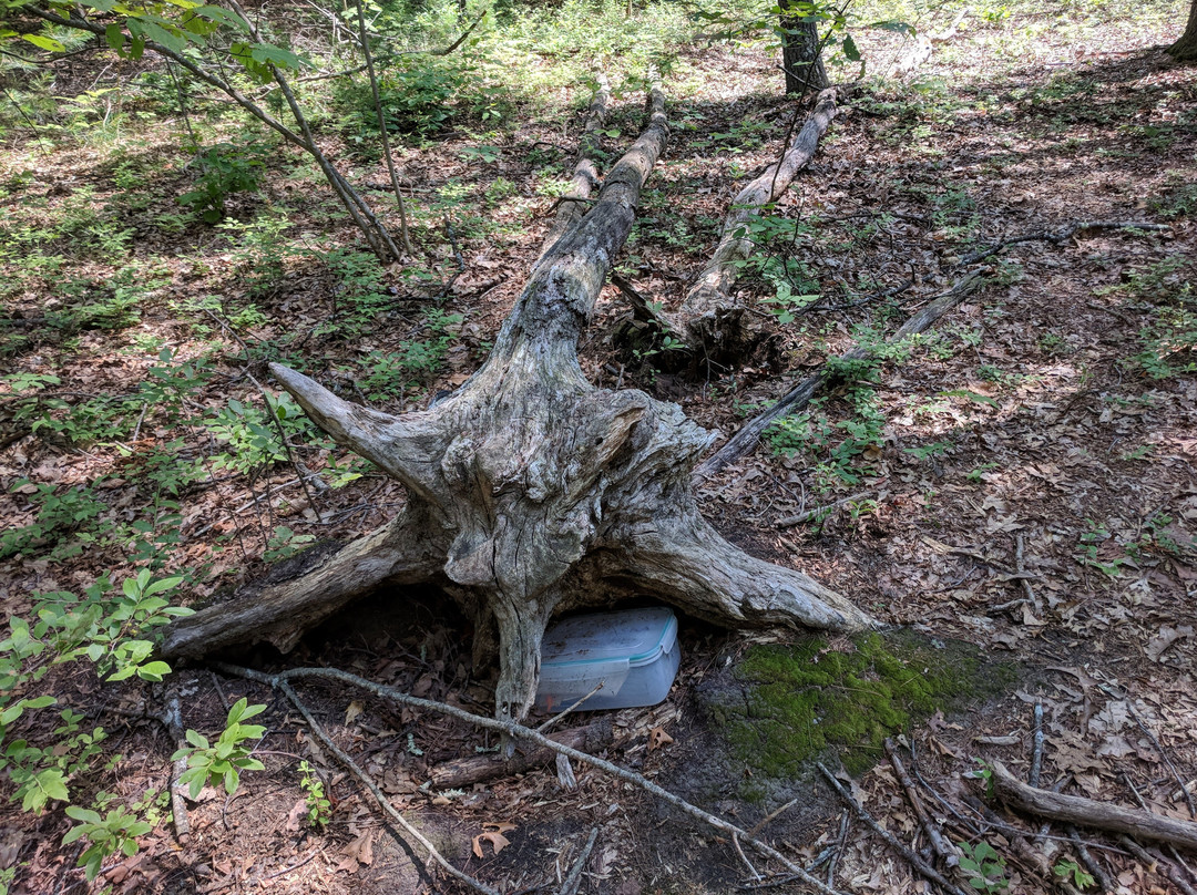 Ashland State Park-Ashland必去景点