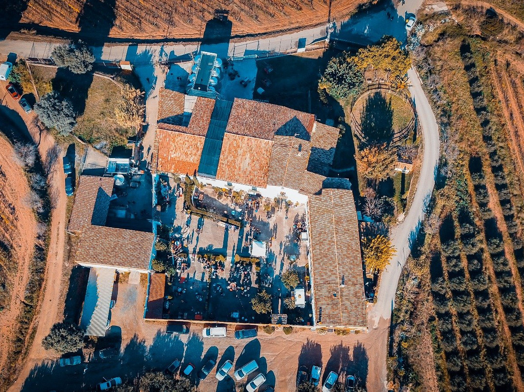 Finca Ca n'Estella景点图片
