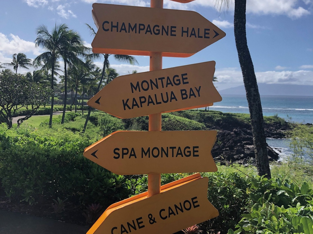 Kapalua Coastal Trail-拉海纳必去景点