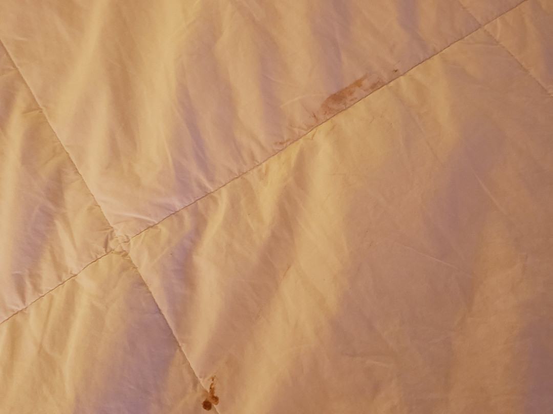 Ruidoso Mountain Inn主图