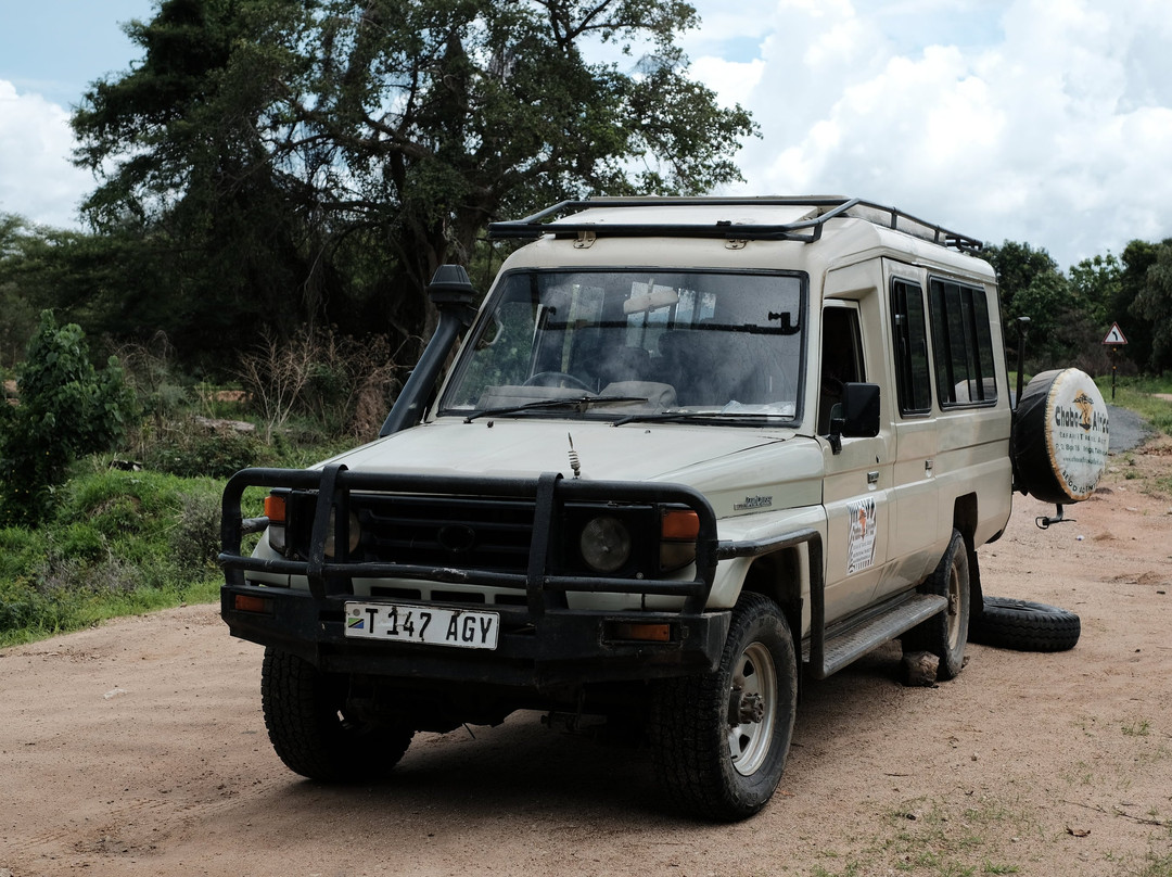 Chabo Africa Safaris-Iringa必去景点