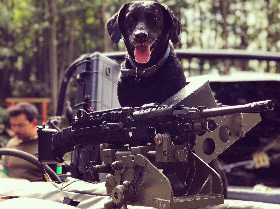 Invicta Battlefield Airsoft Site景点图片