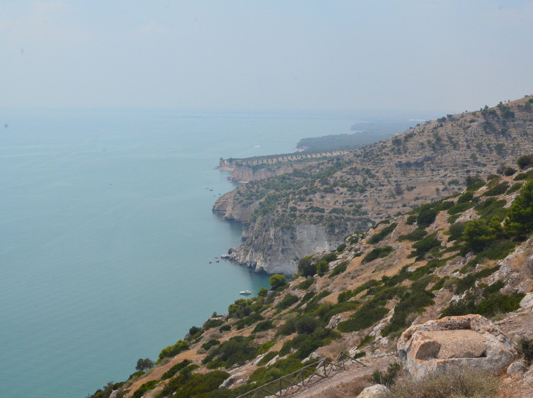 Necropoli di Monte Saraceno-Mattinata必去景点