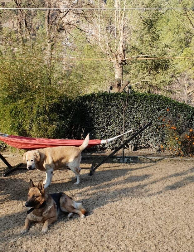 Kailasha - The Himalayan Village主图