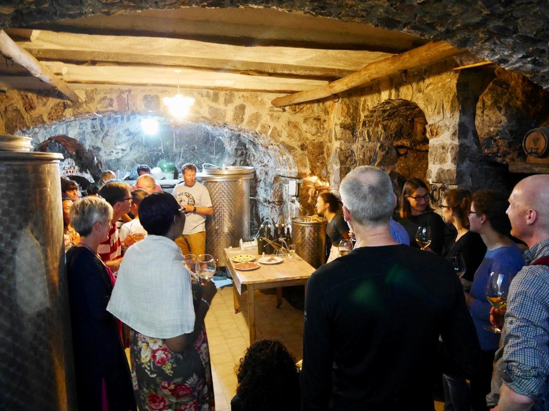 La Vigna degli dei-阿杰罗拉必去景点