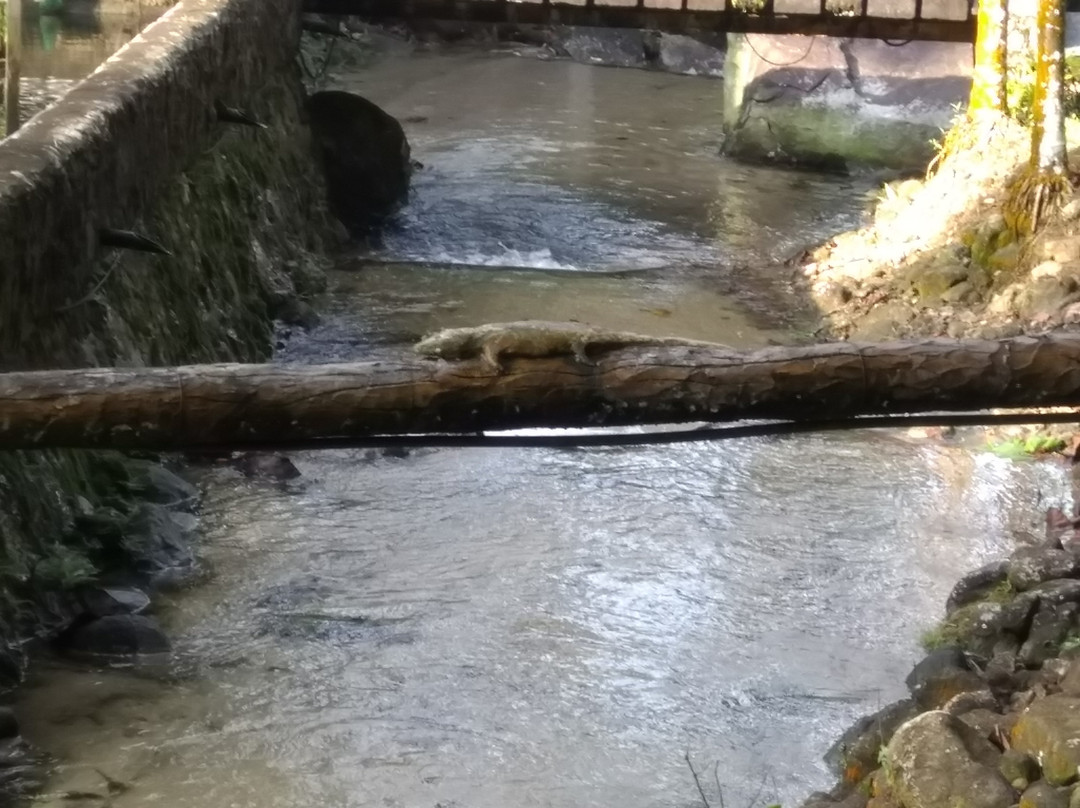 圣淘沙别墅主图