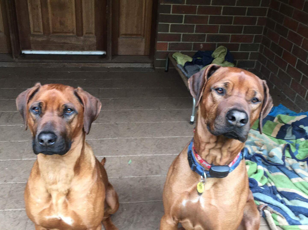 The Cravat Club-Woodend必去景点