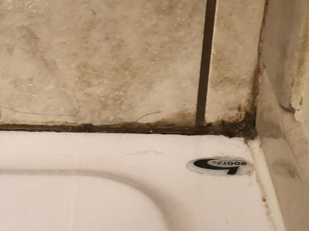 Ripley酒店住宿-Holiday Inn Express & Suites Ripley by IHG