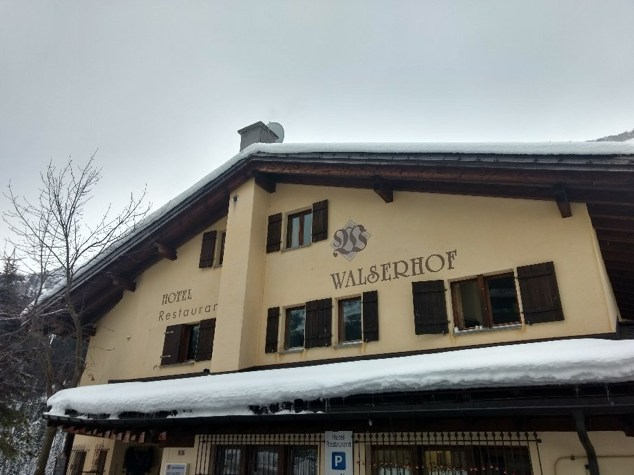 Hotel Walserhof主图