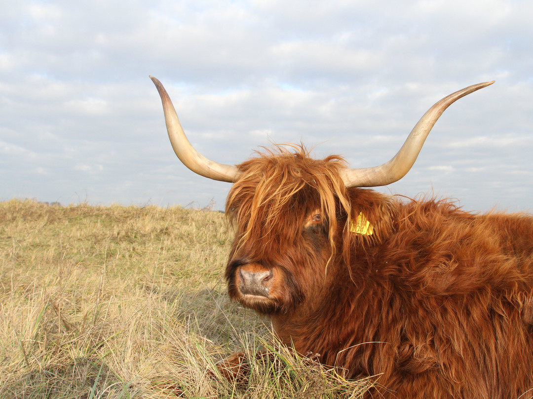 Lentevreugd-Wassenaar必去景点