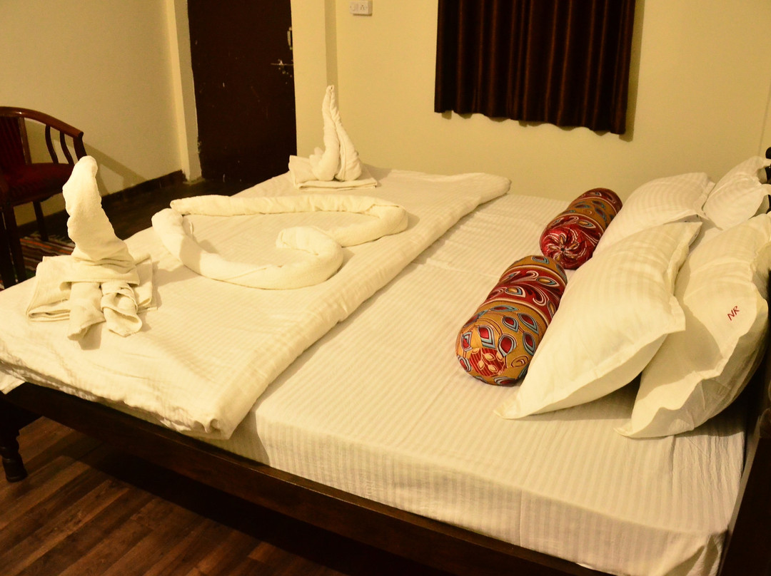 The Narayan Resort主图