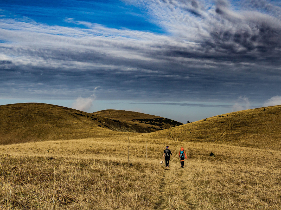 Velka Fatra national park景点图片