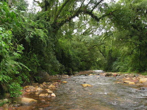 Tangol-萨尔塔必去景点