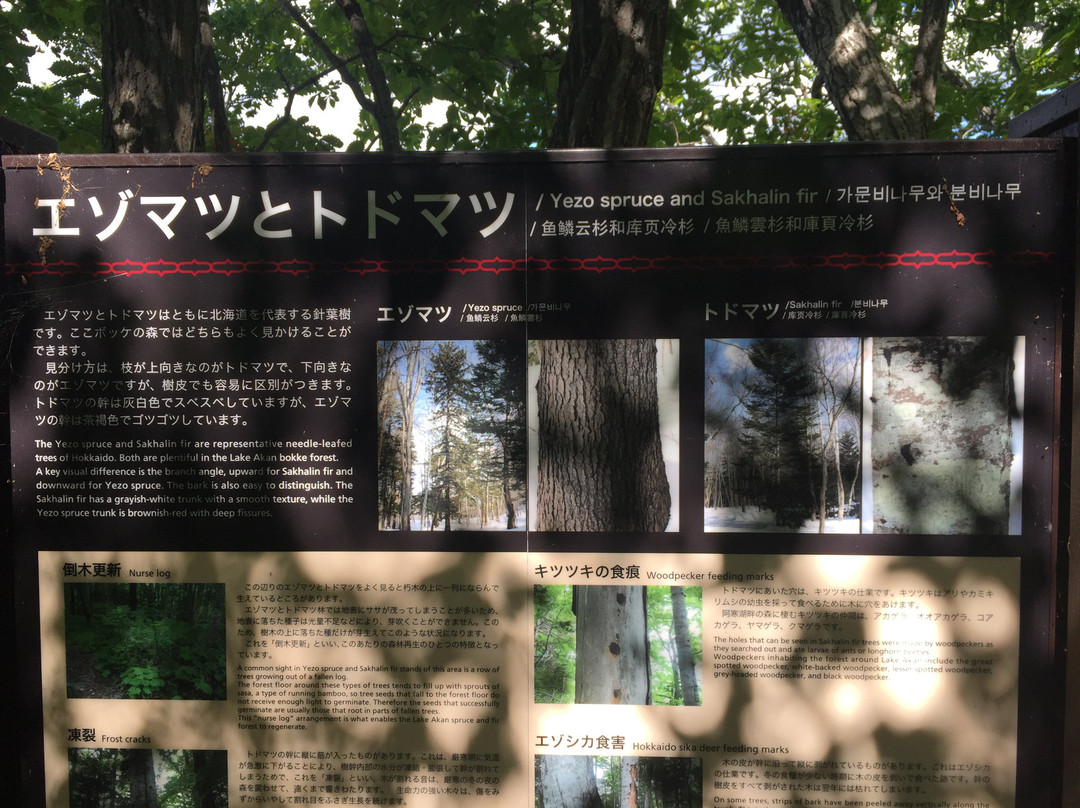 Akan-Mashu National Park-北海道必去景点