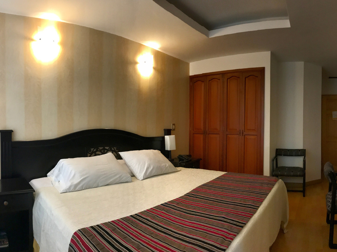 Hotel Bolivar Plaza主图