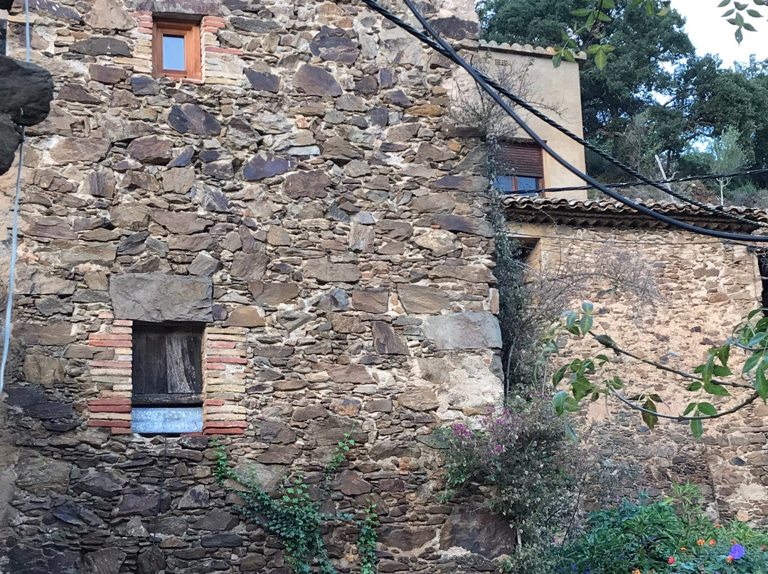 Celler Can Sais-Vall-Llobrega必去景点