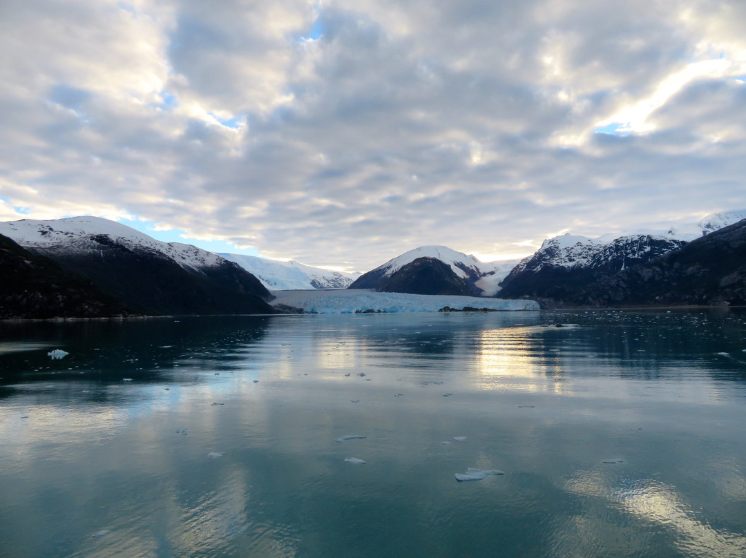 Glaciar Amalia-纳塔莱斯港必去景点