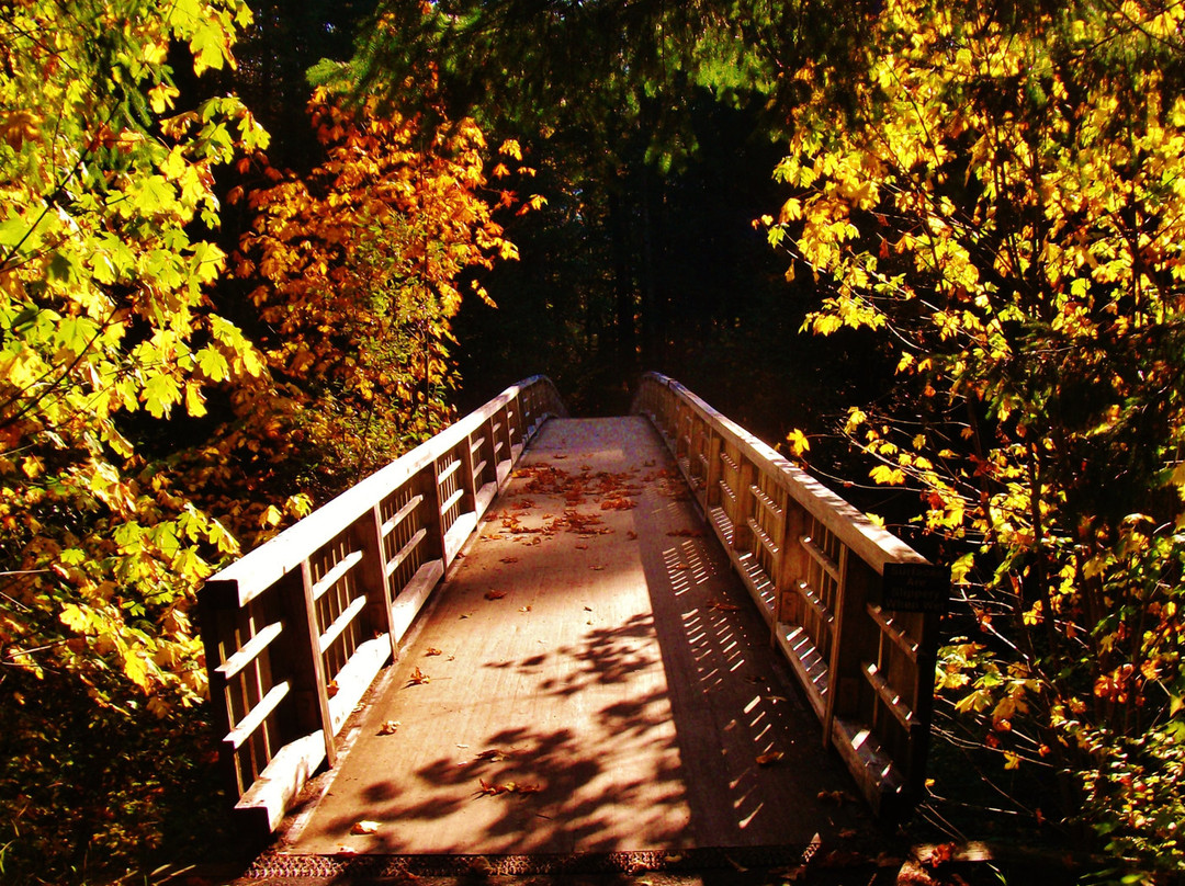 Wildwood Recreation Site-Welches必去景点