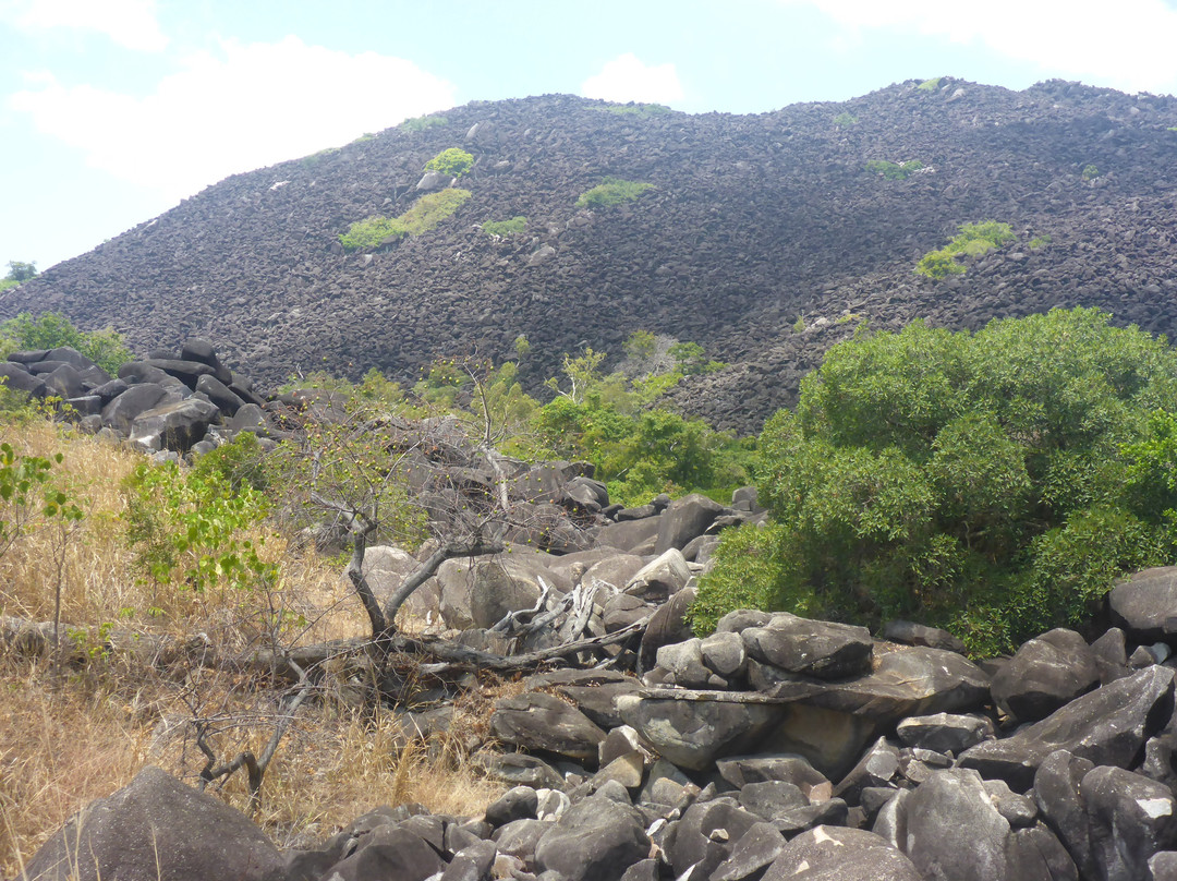 Black Mountain National Park-昆士兰必去景点