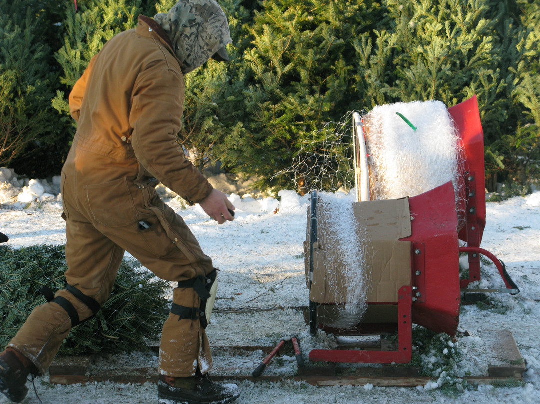 Werner Tree Farm-Middlebury必去景点