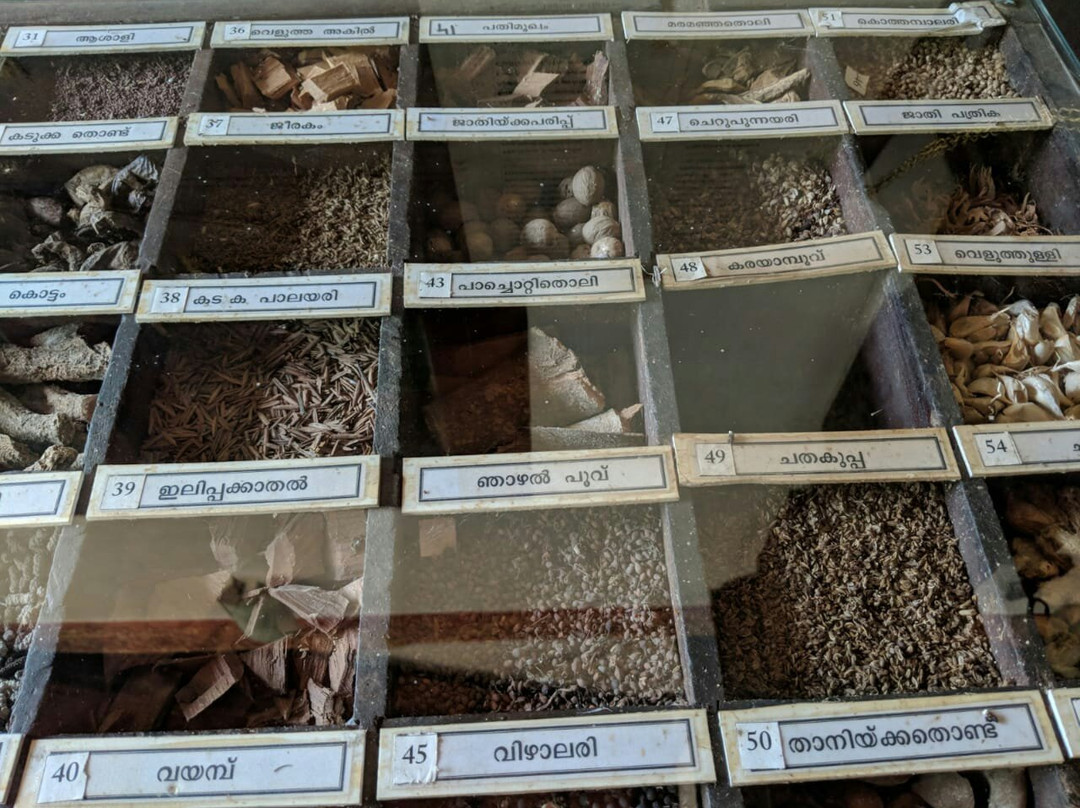 Vaidyaratnam Ayurveda Museum景点图片