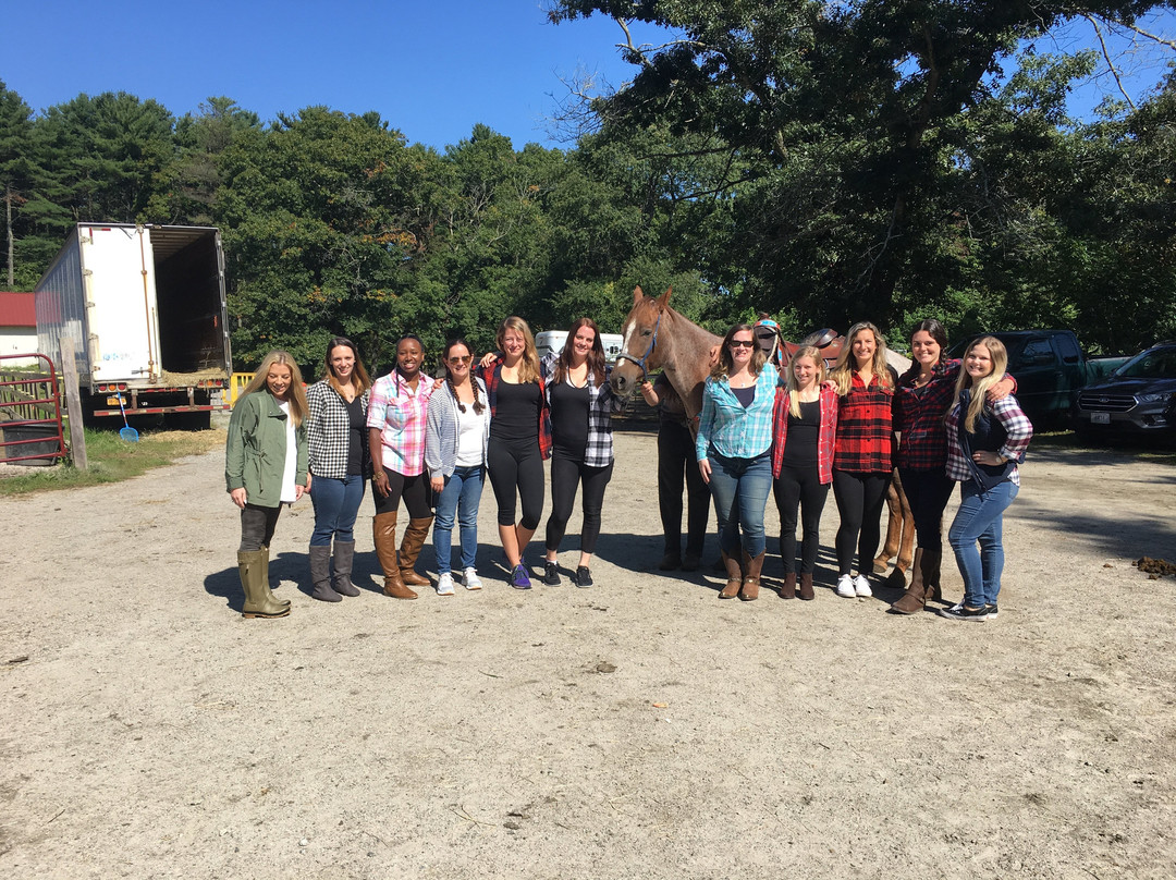 C and L Stables-West Warwick必去景点