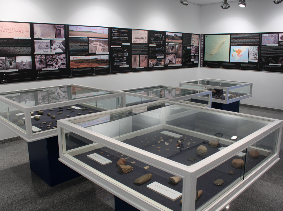 Museo Alcalá de Guadaíra景点图片