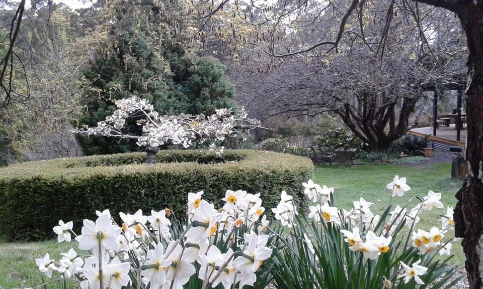 Love Grove Guest House主图