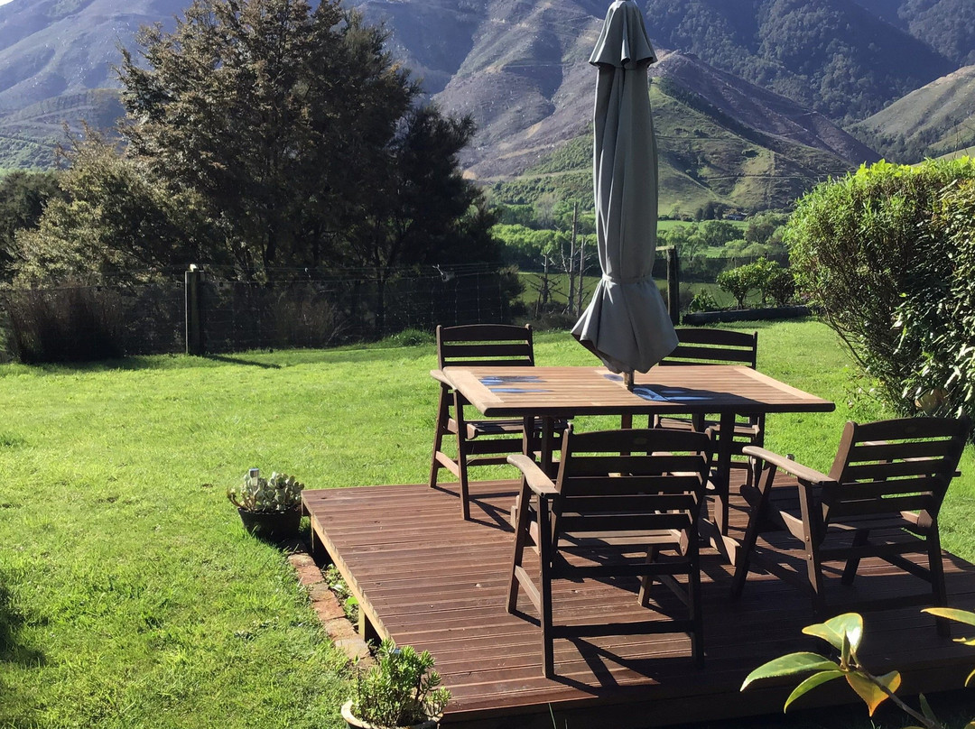 Pelorus Heights Homestay主图